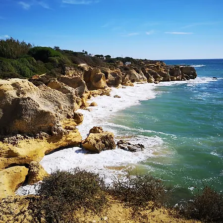 Sweet Pear With Garage *